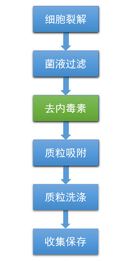 无内毒素质粒大提试剂盒提取流程图