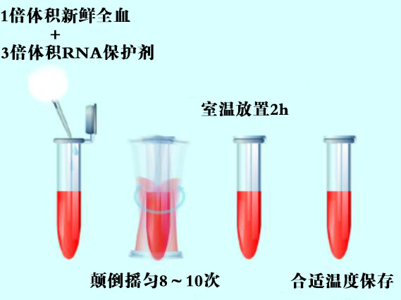 血液RNA保护剂实验流程