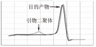 Real-Time PCR预混液(染料法)