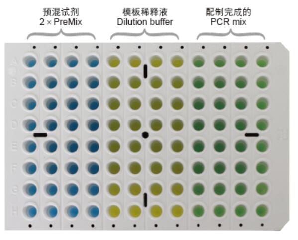 Real-Time PCR预混液颜色示意图