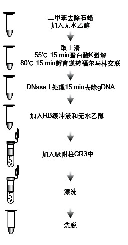 石蜡包埋组织miRNA提取试剂盒提取流程图