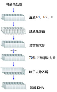 高通量96孔板质粒快速提取试剂盒（醇沉淀法)提取流程图