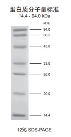 蛋白marker(14.4～94kDa)条带图