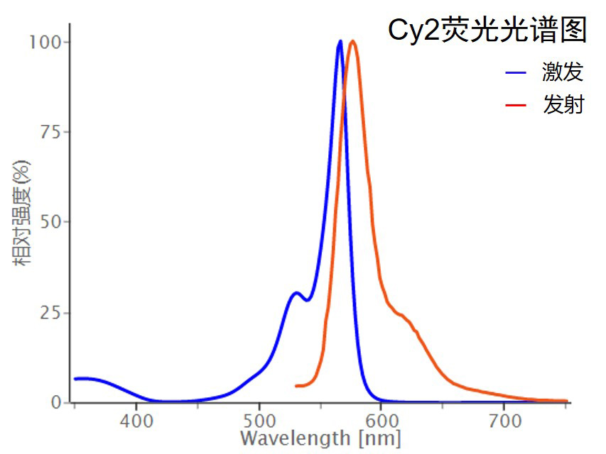 Cy2荧光光谱图