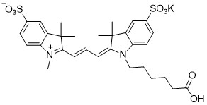 磺化Cy3羧酸