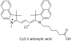 Cy3.5羧酸