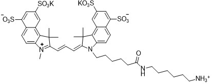 磺化Cy3.5-胺