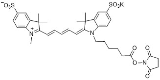 磺化Cy5-NHS酯