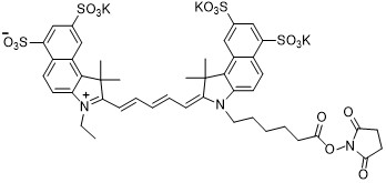 磺化Cy5.5-NHS酯