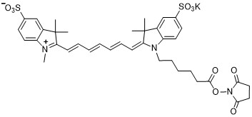 磺化Cy7-NHS酯