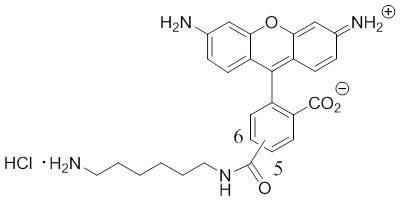 氨基罗丹明绿