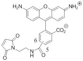 罗丹明绿-马来酰亚胺