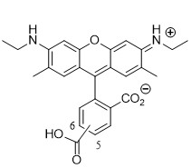 罗丹明6G羧酸