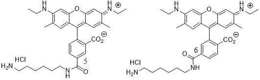 氨基罗丹明6G胺