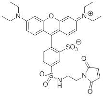 罗丹明红-马来酰亚胺