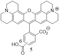 ROX羧酸