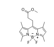 BODIPY 493/503甲酯