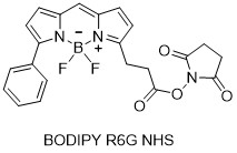 BODIPY R6G-NHS酯