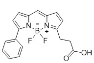 BODIPY R6G羧酸