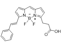 BODIPY 564/570羧酸