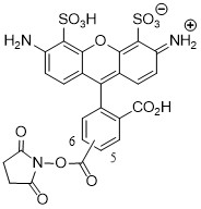 AF488-NHS酯