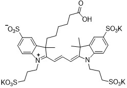 AF555羧酸