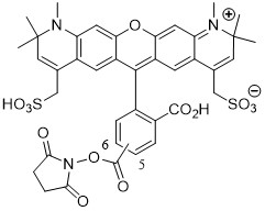 AF594-NHS酯