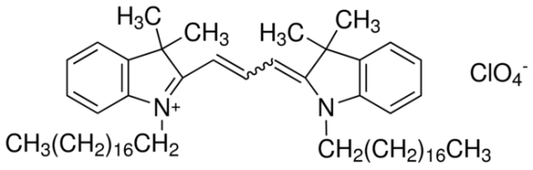 细胞膜红色荧光探针(DiI)