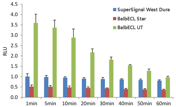 BalbECL UT和Thermo公司SuperSignal West Dura以及百奥莱博的BalbECL Star的检测效果对比