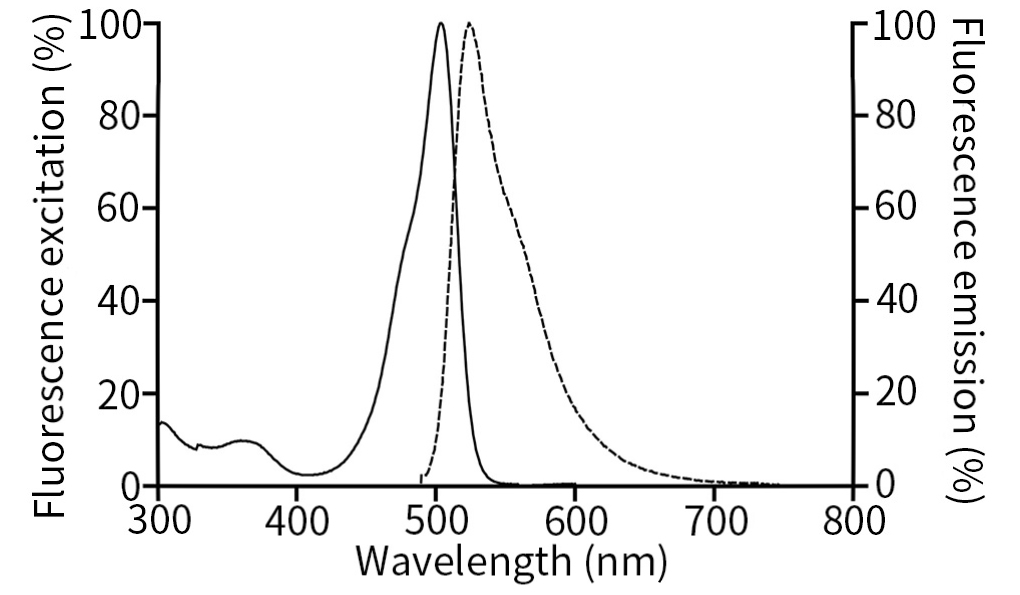 SYTOX Green光谱特征图 SYTOX Green光谱特征图