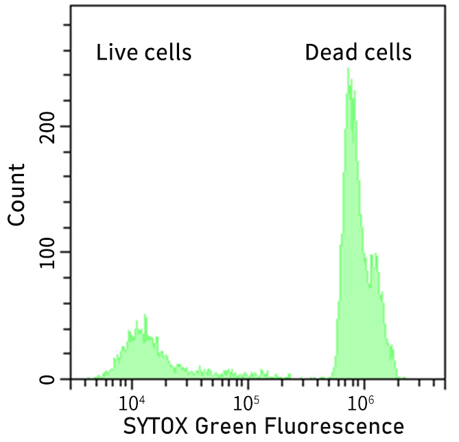 死细胞绿色荧光染色试剂盒流式细胞仪检测效果图 死细胞绿色荧光染色试剂盒流式细胞仪检测效果图