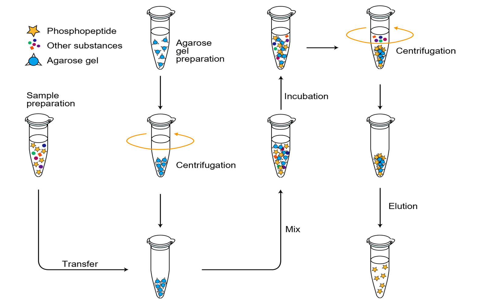磷酸化多肽纯化凝胶