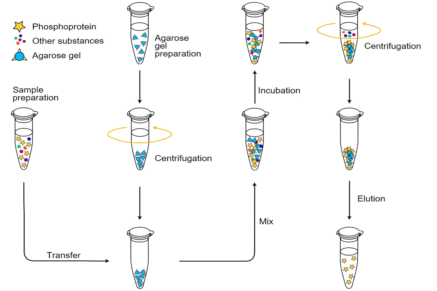 磷酸化蛋白纯化凝胶