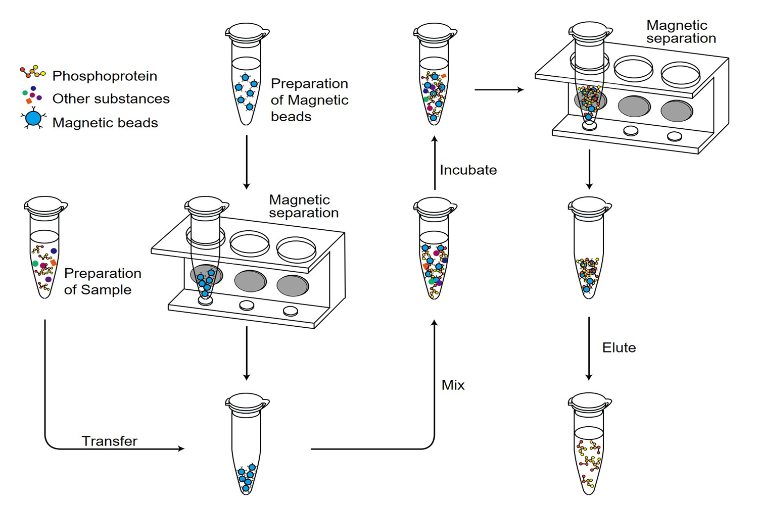 磷酸化蛋白纯化磁珠