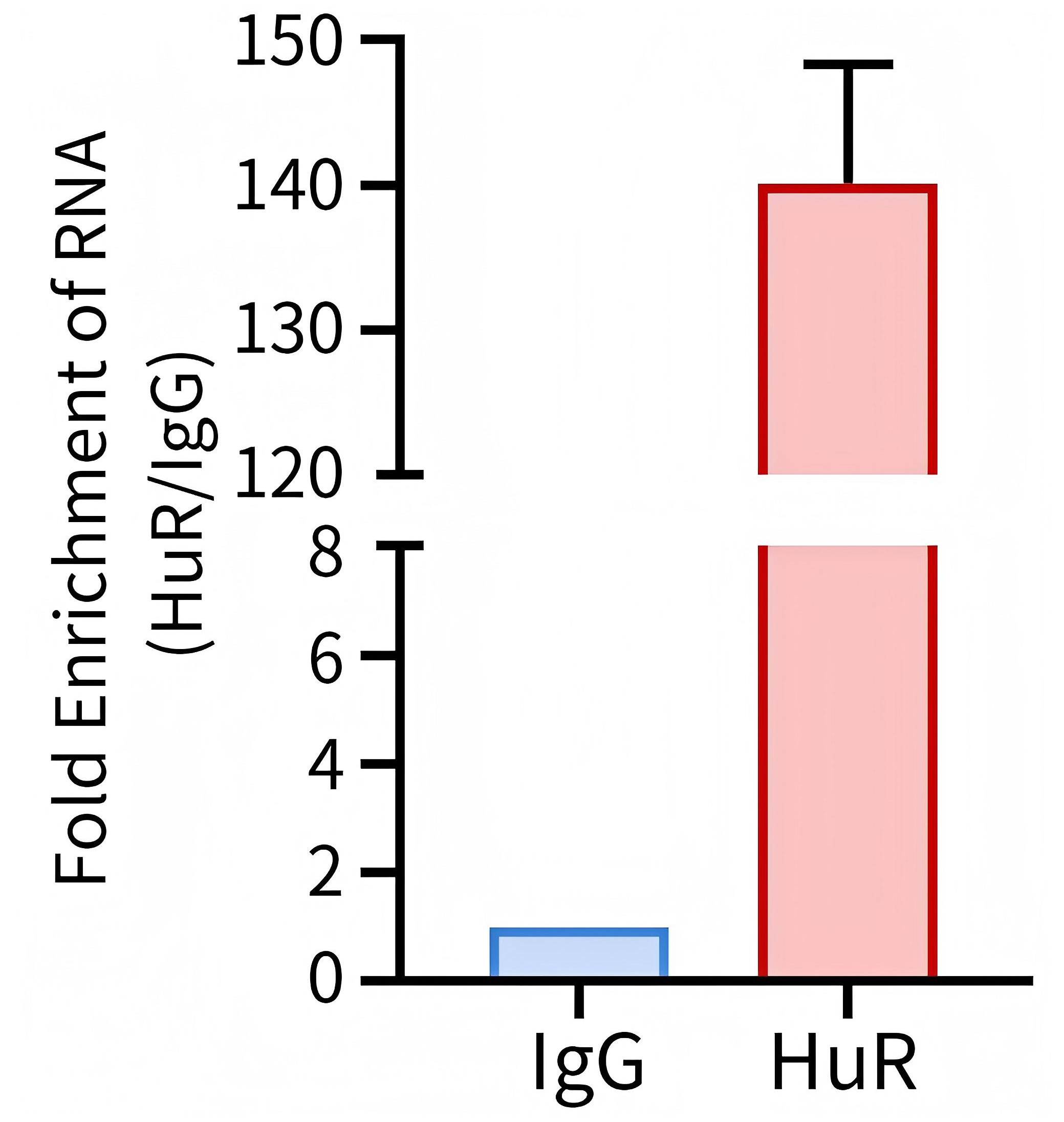 RIP检测阳性对照试剂盒 RIP检测阳性对照试剂盒