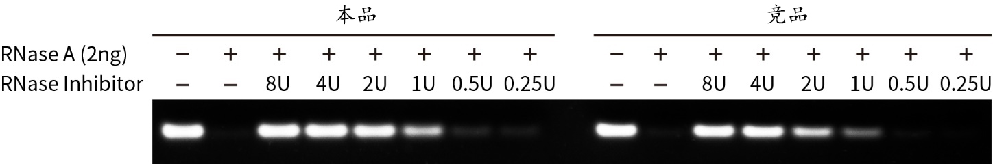 重组人RNase抑制剂 重组人RNase抑制剂
