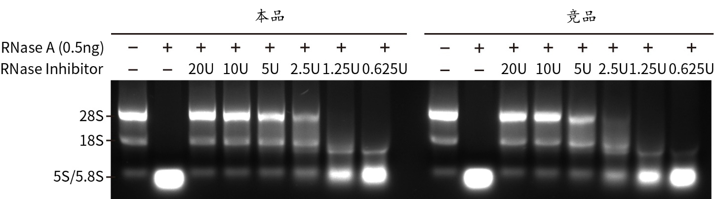 重组人RNase抑制剂 重组人RNase抑制剂