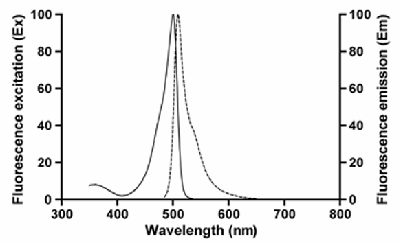 Mito-Tracker Red CMXRos的激发光谱和发射光谱