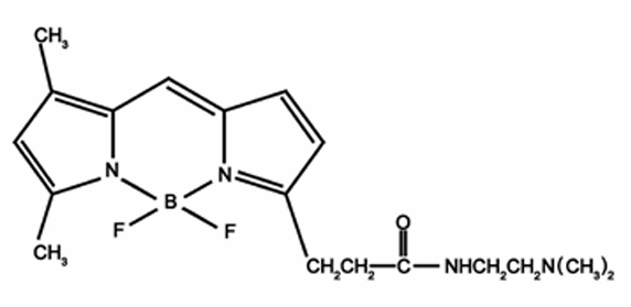 Mito-Tracker Red CMXRos结构式