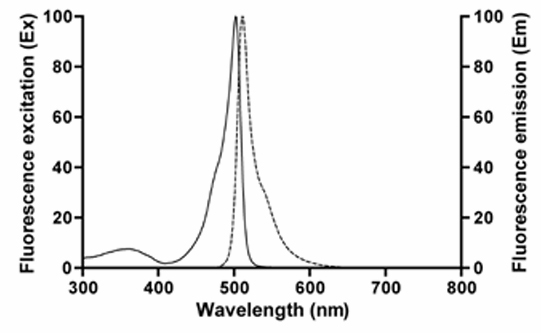 ER-Tracker Green的激发、发射光谱图