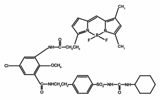 ER-Tracker Green的化学结构式