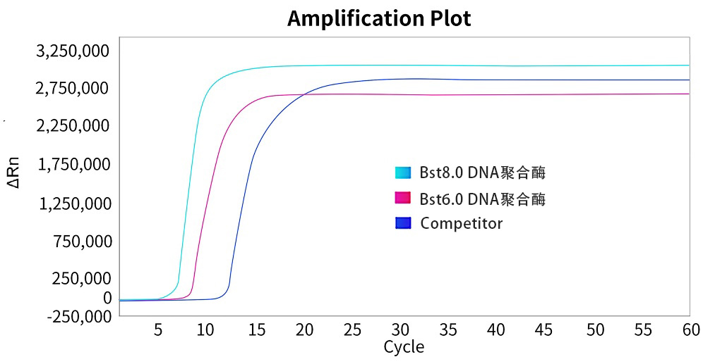 Bst8.0 DNA聚合酶