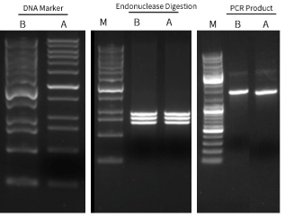 磁珠法PCR产物DNA纯化试剂盒
