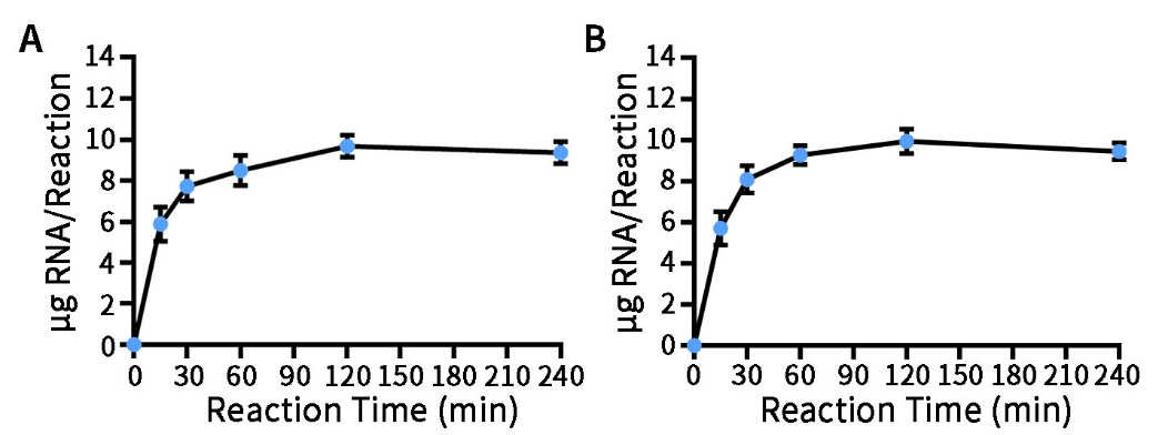 RNA生物素标记试剂盒