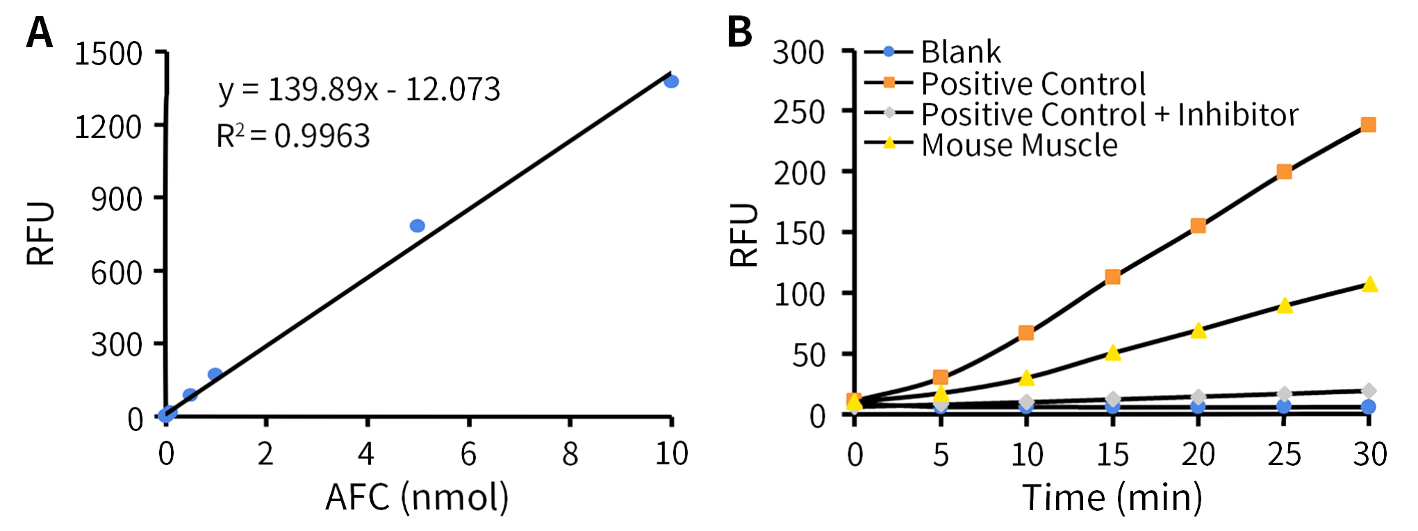 钙蛋白酶检测试剂盒