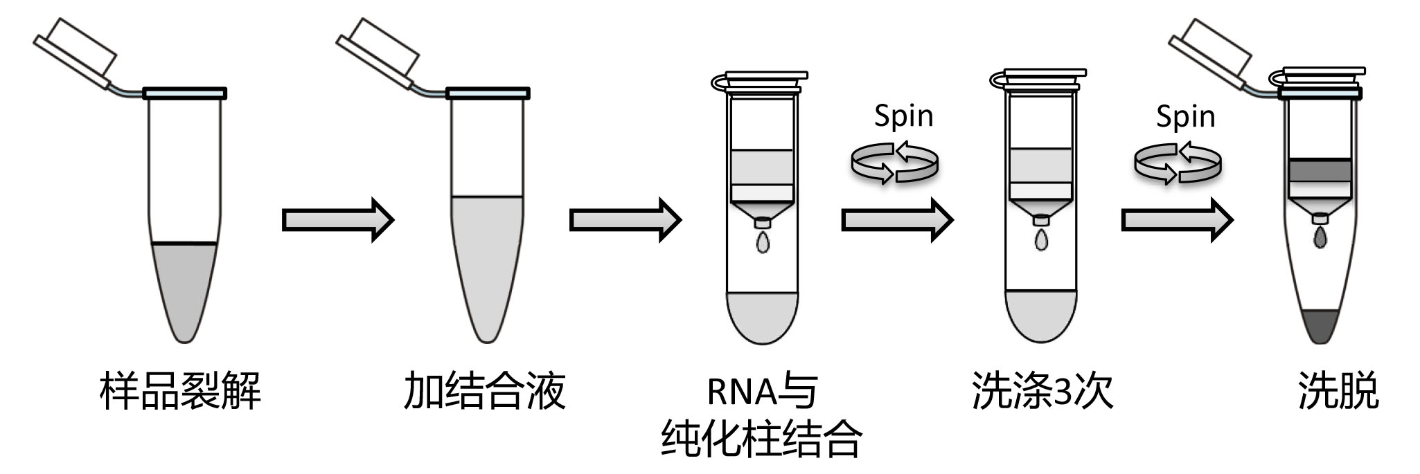 动物RNA提取试剂盒(离心吸附柱式)