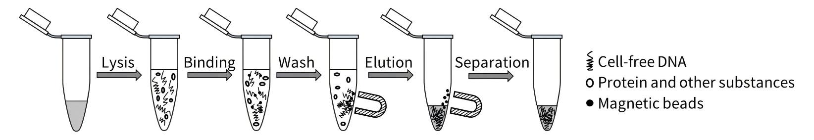 磁珠法游离DNA提取试剂盒