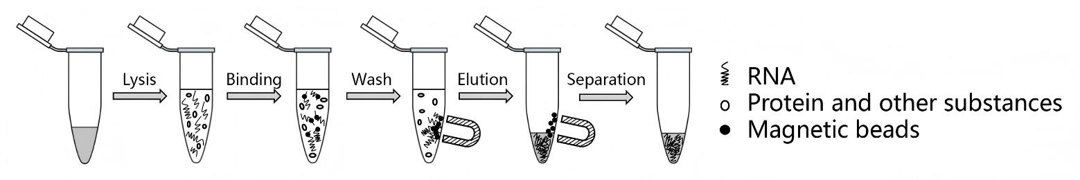 磁珠法血液RNA提取试剂盒