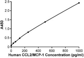 人CCL2/MCP-1检测试剂盒(ELISA)的标准曲线