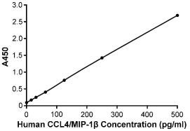 人CCL4/MIP-1β检测试剂盒(ELISA)的标准曲线
